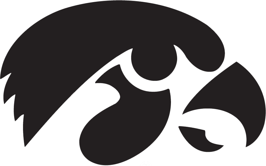 Iowa Hawkeyes Black Tigerhawk logo